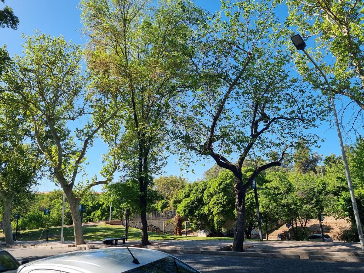 Centrico Parque Civico Apartment Mendoza Bagian luar foto
