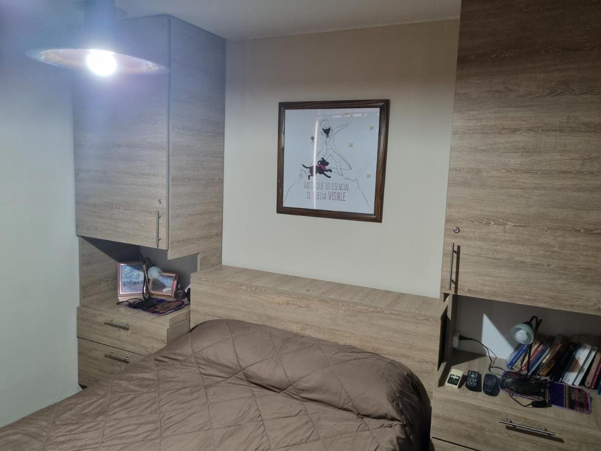 Centrico Parque Civico Apartment Mendoza Bagian luar foto
