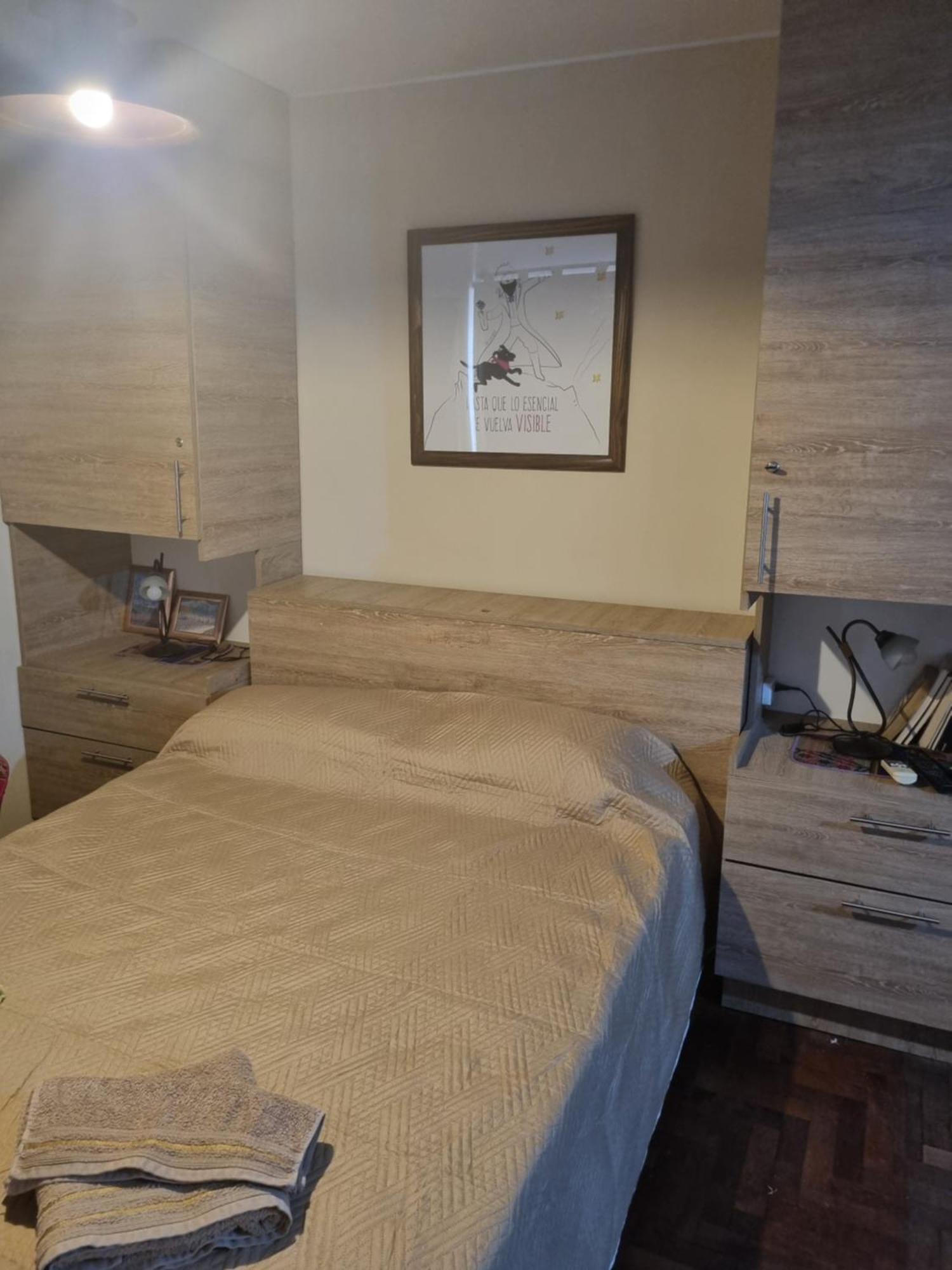 Centrico Parque Civico Apartment Mendoza Bagian luar foto