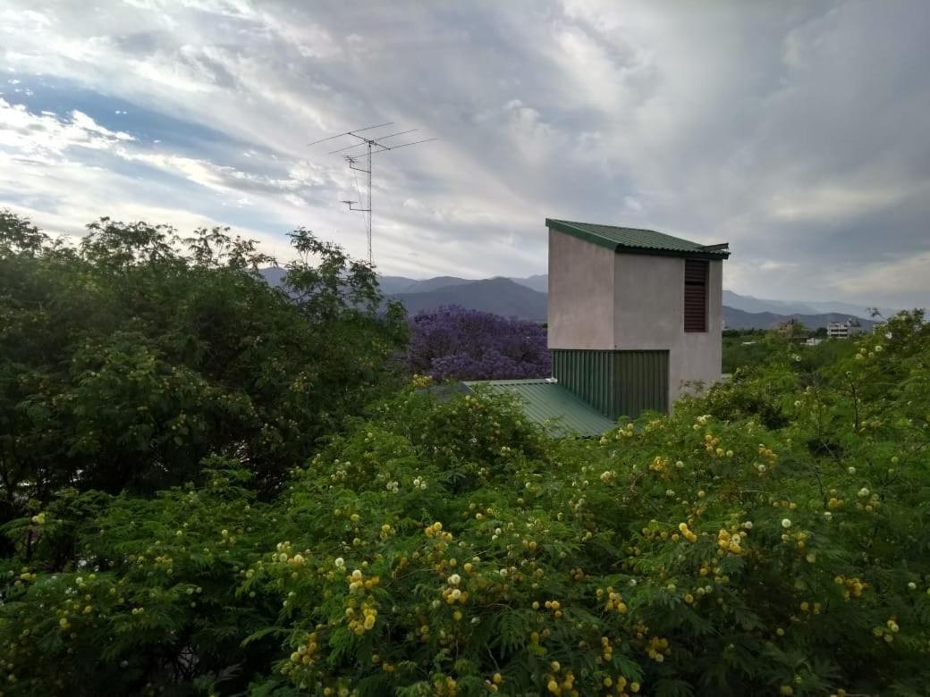 Centrico Parque Civico Apartment Mendoza Bagian luar foto